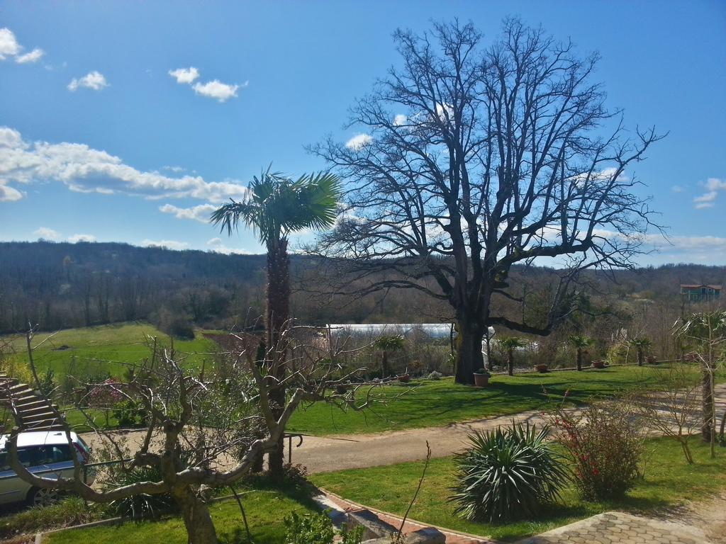 Villa Lara Karojba Pokój zdjęcie
